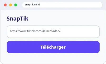 Exemple visuel de l’étape 3 pour utiliser SnapTik.