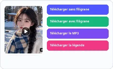 Exemple visuel de l’étape 4 pour utiliser SnapTik.