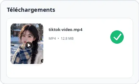 Exemple visuel de l’étape 6 pour utiliser SnapTik.